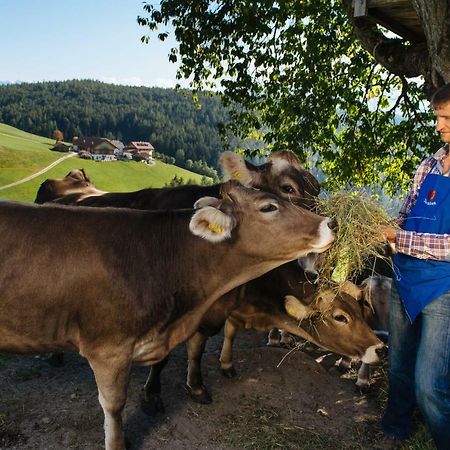 Mair Am Graben Farm * Chalets Теренто Екстериор снимка