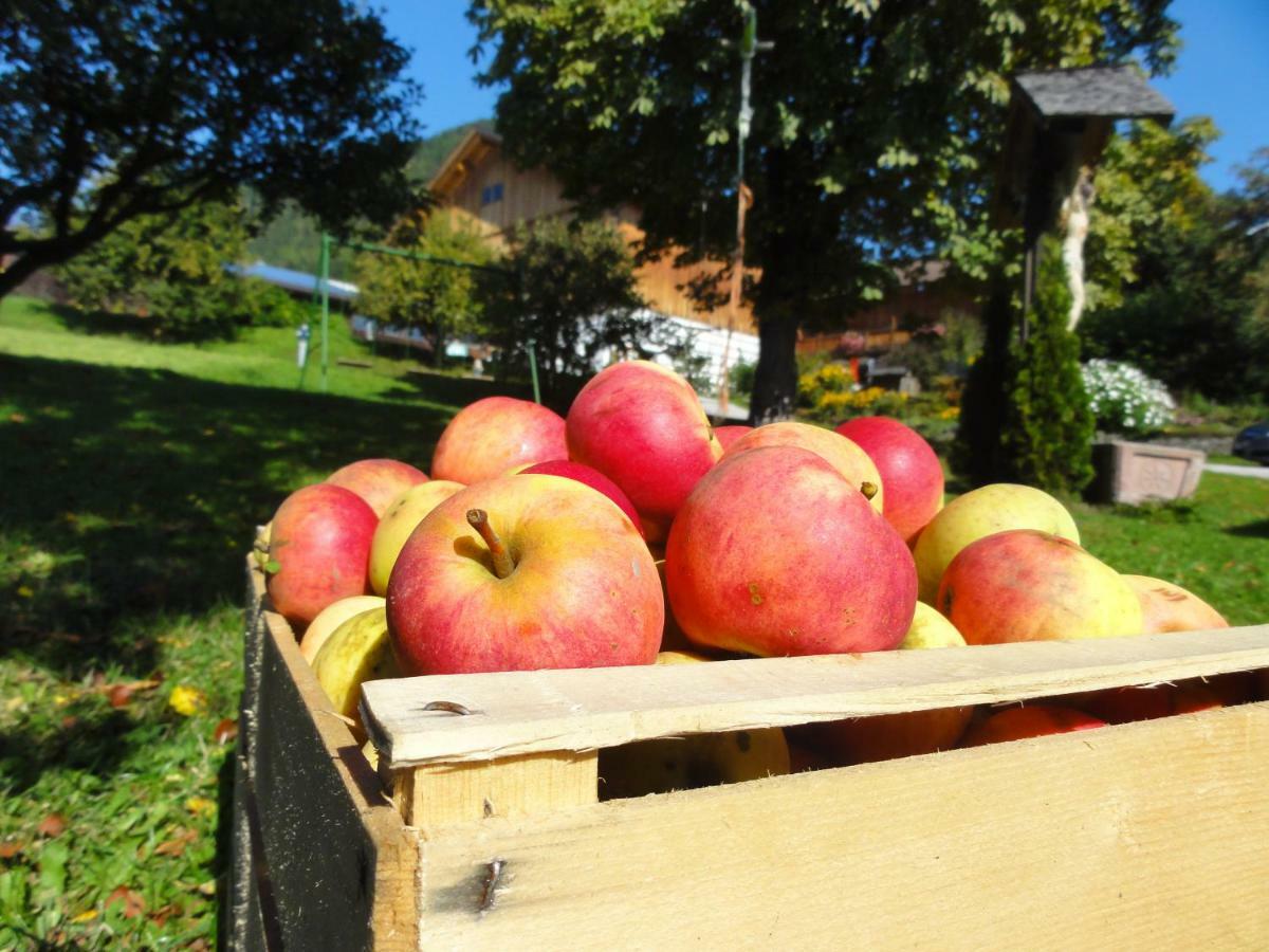 Mair Am Graben Farm * Chalets Теренто Екстериор снимка