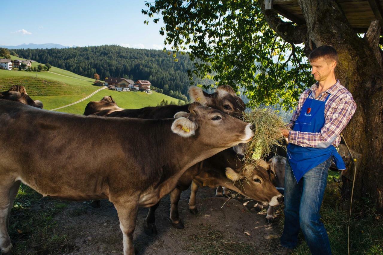 Mair Am Graben Farm * Chalets Теренто Екстериор снимка