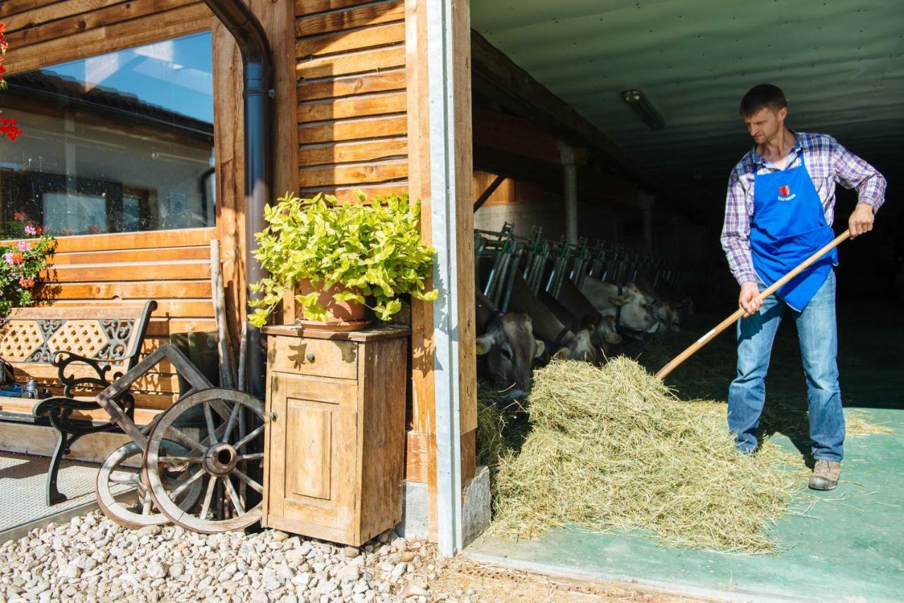 Mair Am Graben Farm * Chalets Теренто Екстериор снимка